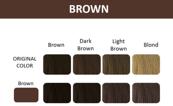 Thuya Tints - Brown - Image 3