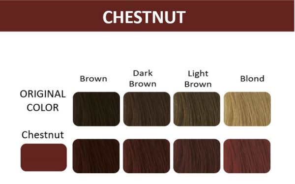 Thuya Tints 24 Tints - Chestnut - Image 3