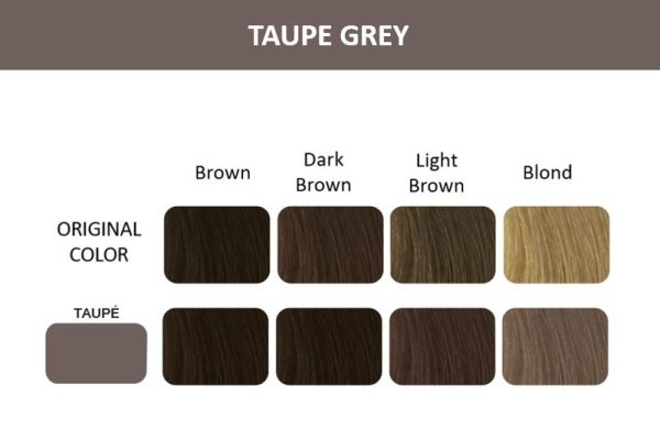 Thuya New Display 24 Tints - Taupe Grey - Image 3